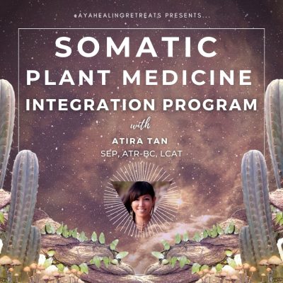 Somatic Plant Medicine Integration Program