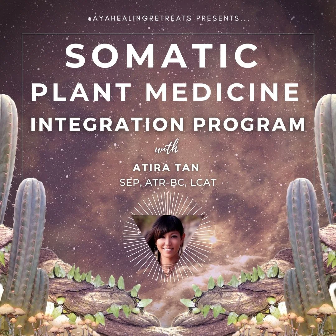 Somatic Plant Medicine Integration Program